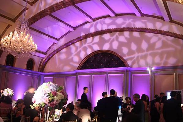 Foliage patterns on the wall and dance floor, with colored uplights to complement, will surely decorate an entire room.