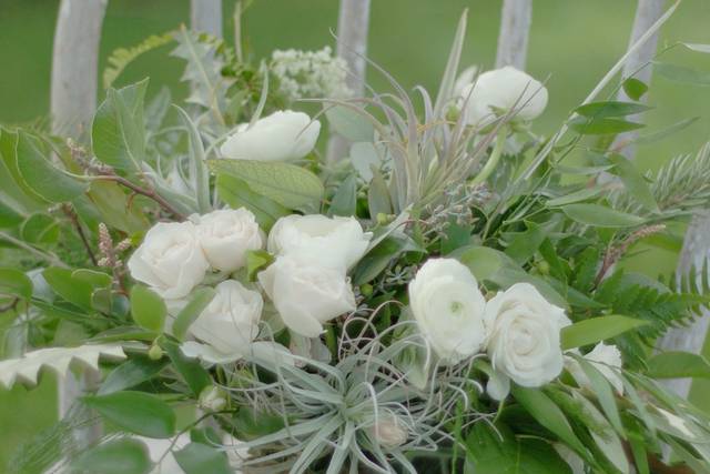 The Ruffly Rose