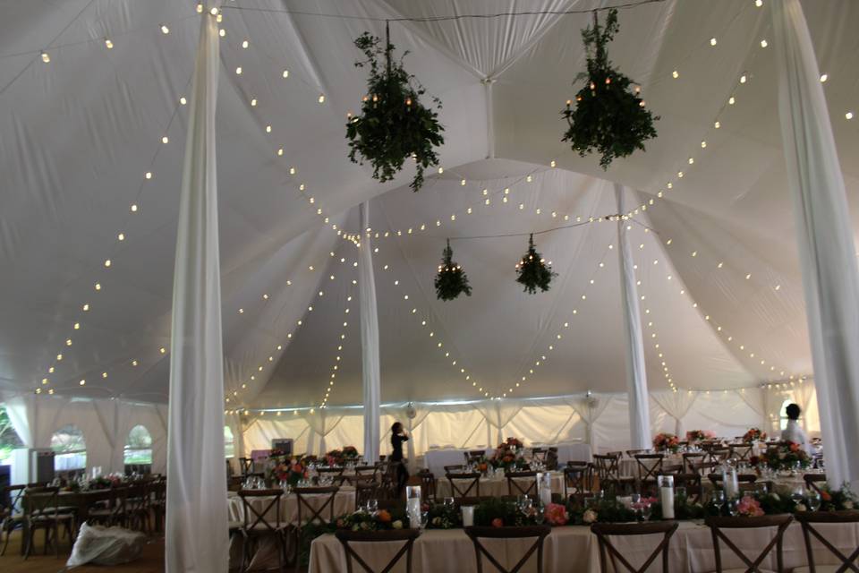 Reception area, bistro lights