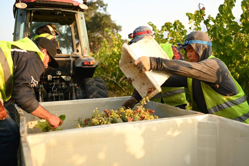 The Wine Label Lab by La Prenda Wines