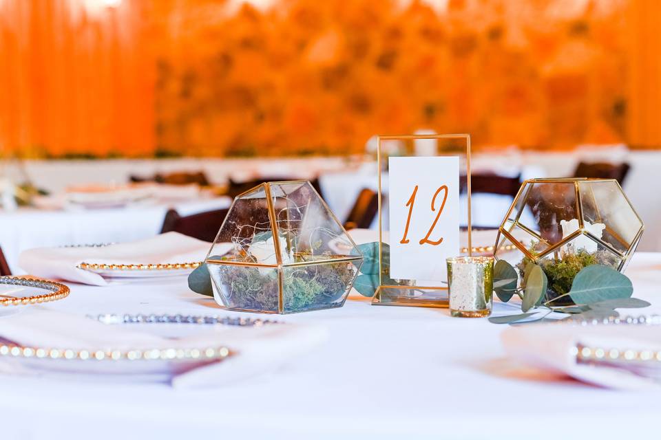 Elegant Table Numbers