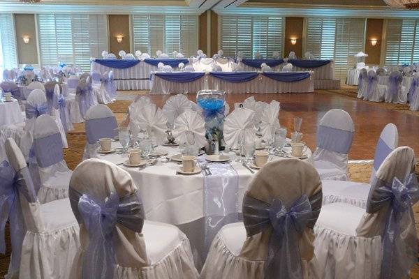 Whole room Decor. including Chair Covers and Fantasy Table Skirt(r0