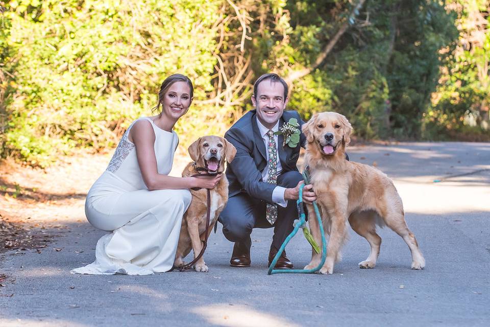 Bride & Groom with Fur Babies