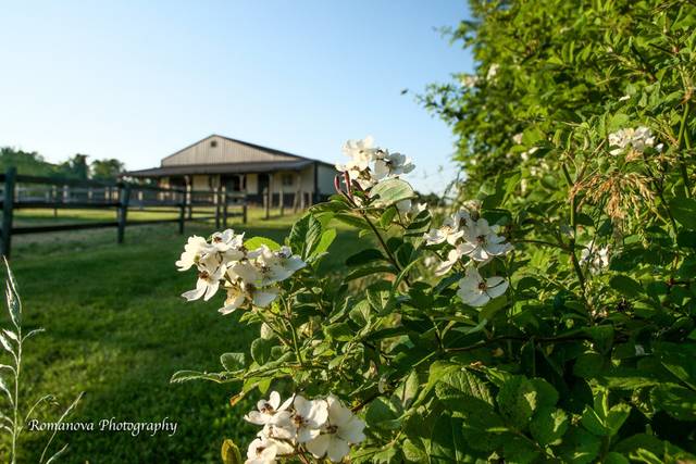 Reception barn with blooms outside
