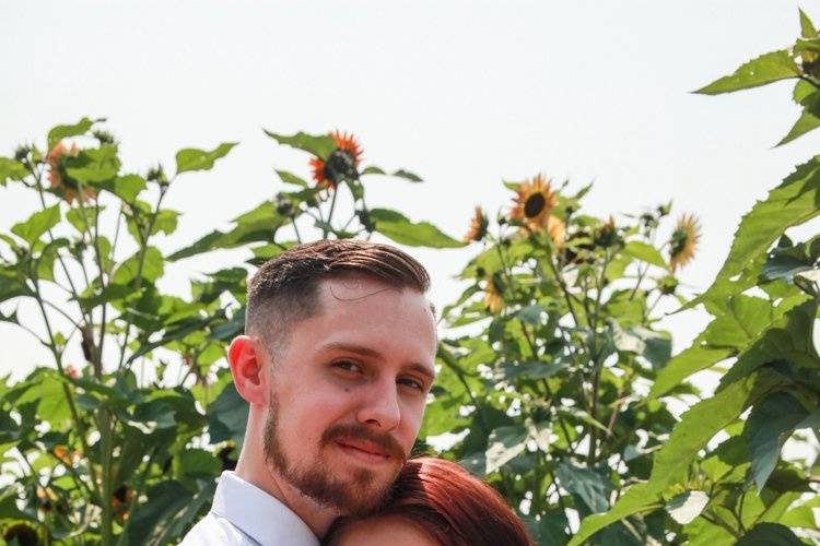 Hug in the sunflower field