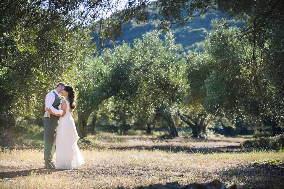 Wedding in Gentilini Retreat, an olive tree place ideal for your magical day!