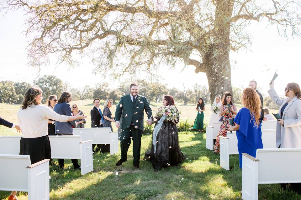 Ceremony under the Oaks
