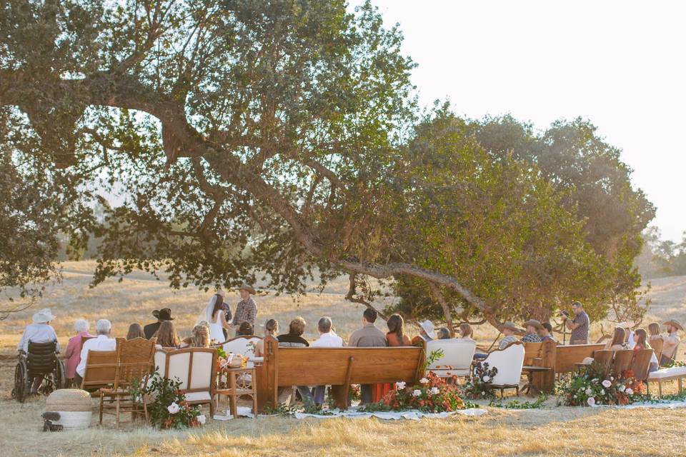 Ceremony Under the Old Oaks