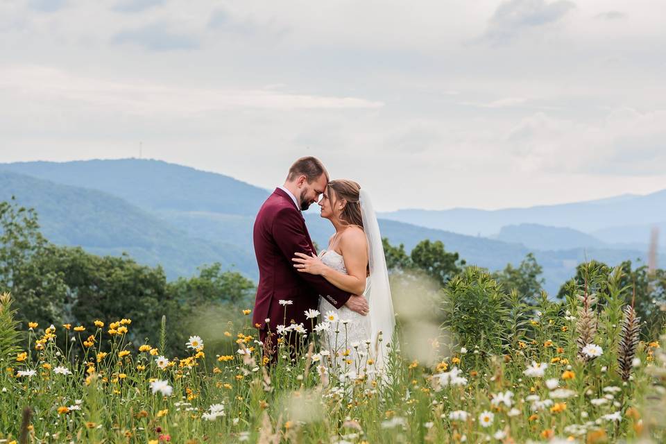 Appalachian View venue