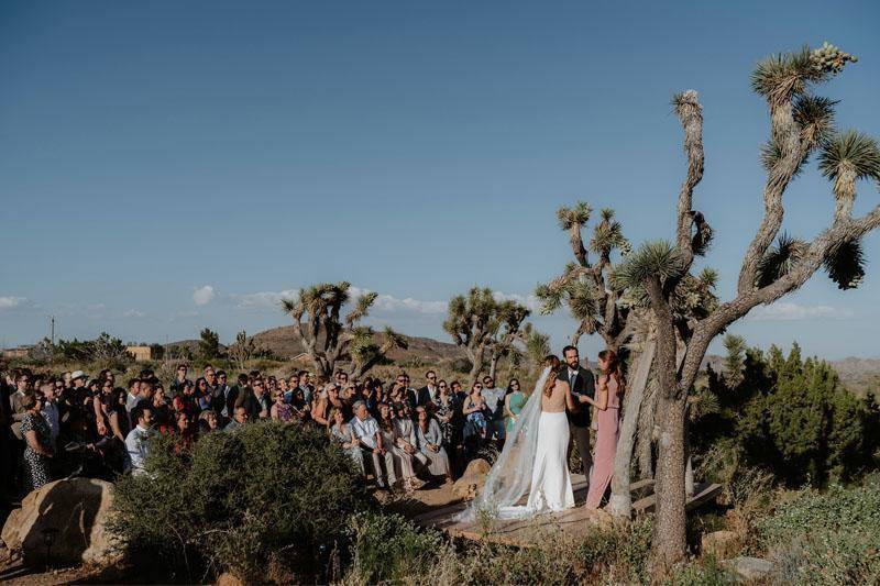 Megan & Jeff, Joshua Tree, CA