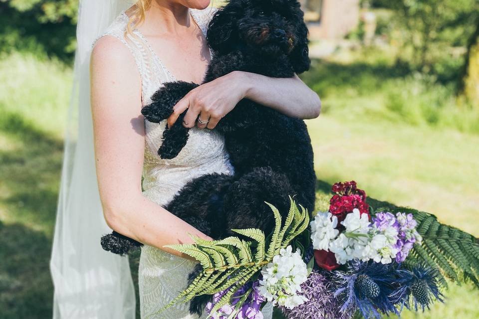 Bride & pup