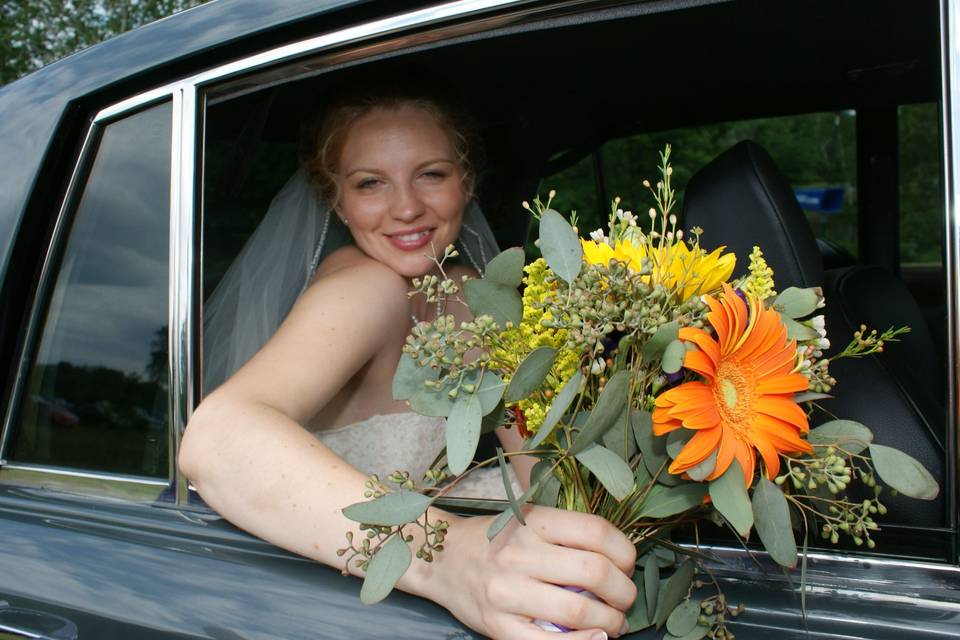 PJ Fischer Photography