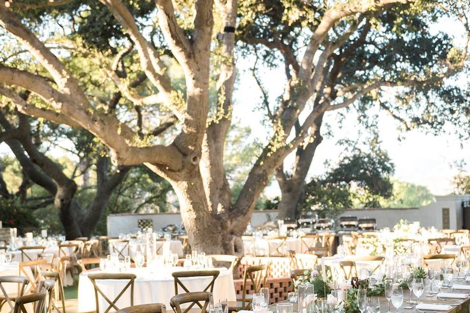 Outdoor Blush Wedding