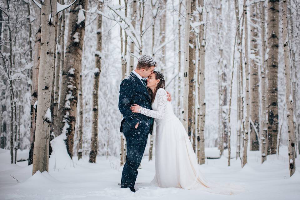 Snuggled up in snowy aspens