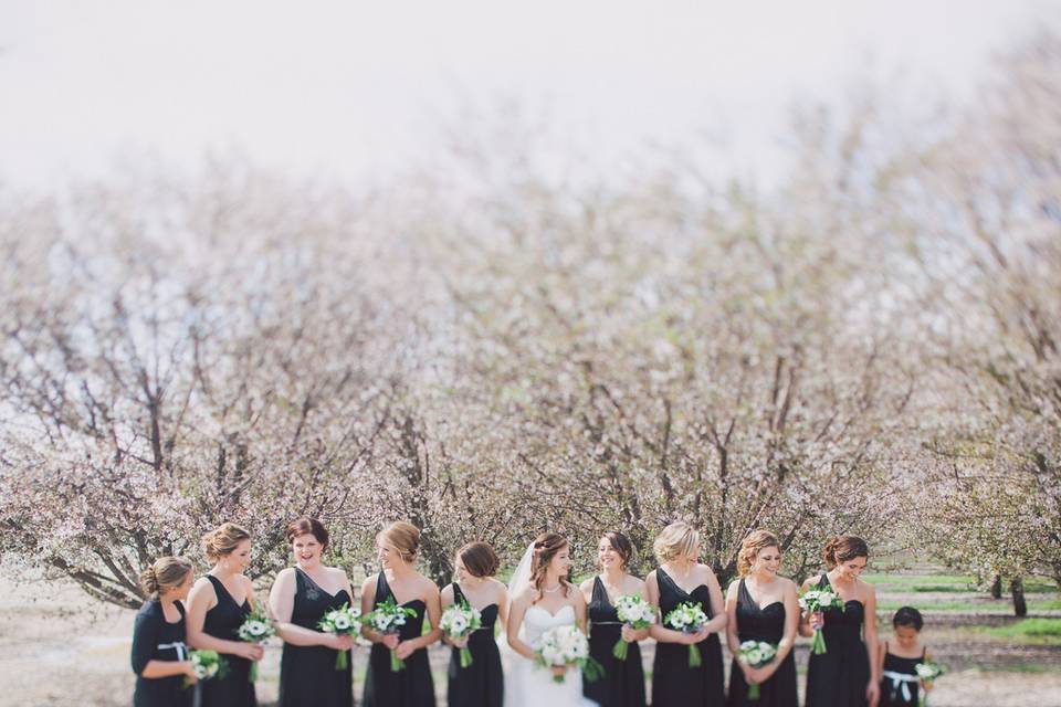 The bride with her bridesmaids