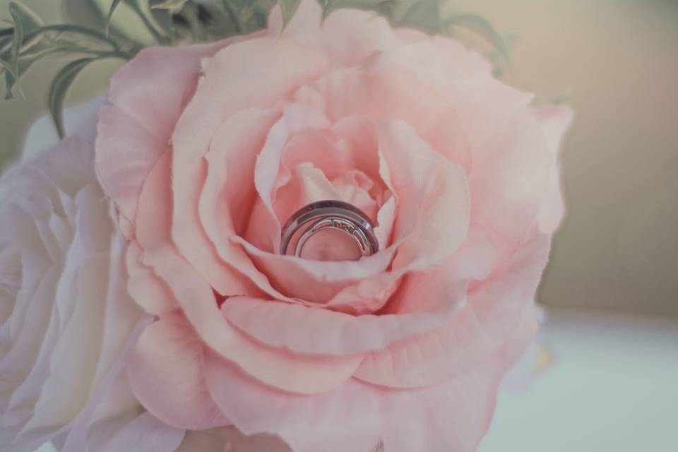 Blooming flower with rings - Michelle Photography
