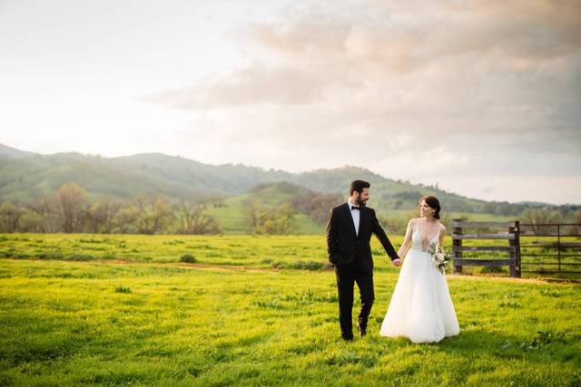Jennifer Lourie Photography