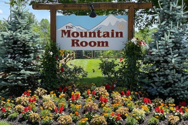 Welcome to The Mountain Room