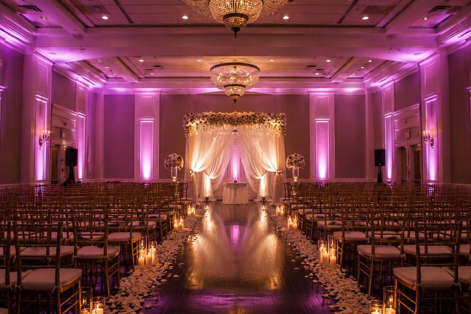 Uplighting for CEREMONY-- RARE