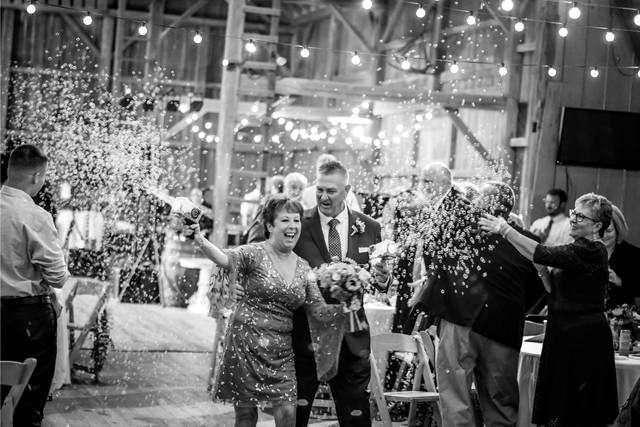 Pamela Harvey Photography