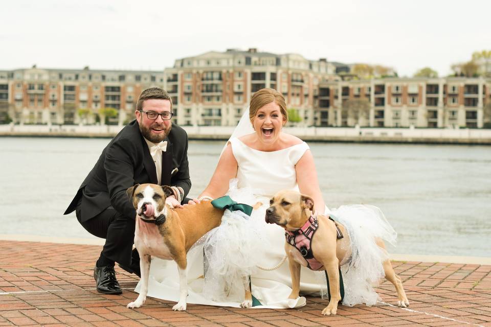 Wedding Portrait at Pier 5