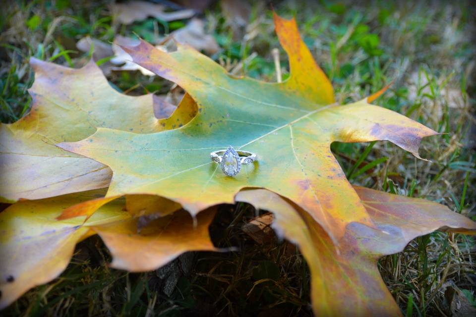 Kendelashley Photography & Design