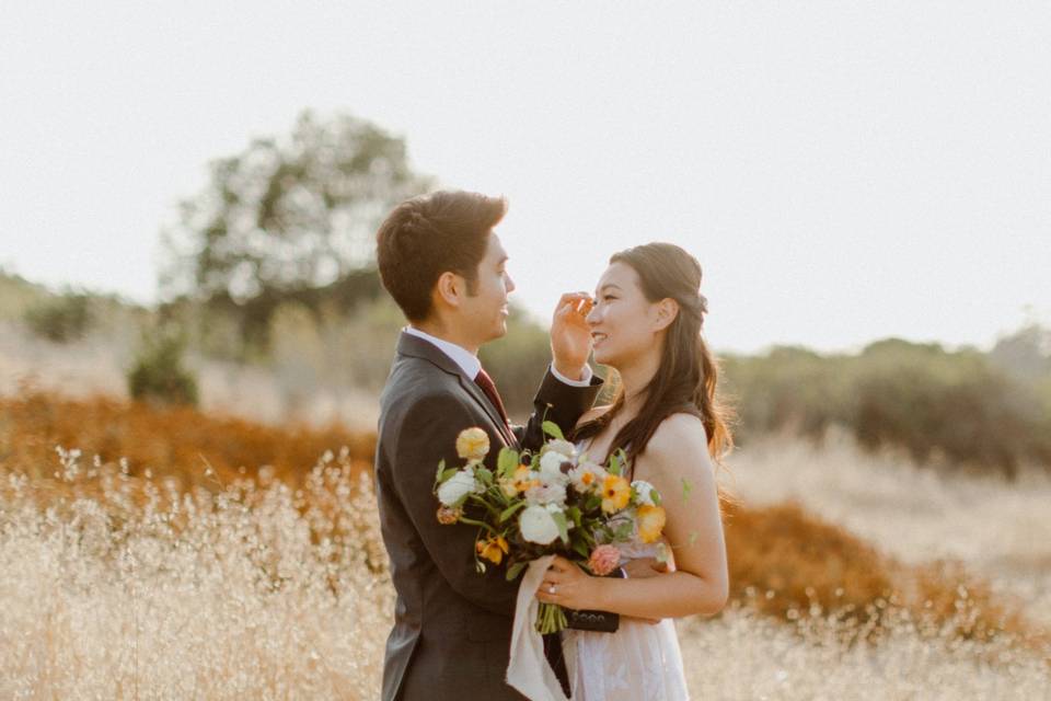 Golden meadows elopement