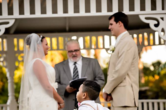 Little boy at the wedding