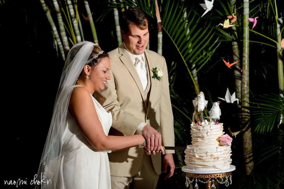 Cake cutting