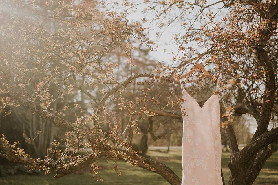 Hanging dress