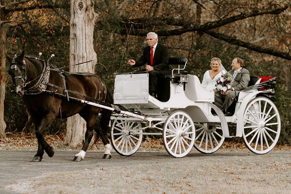 We love a horse and carriage!