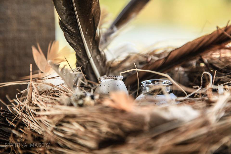 Spartina Imagery