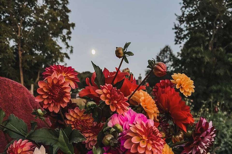 Summer colors