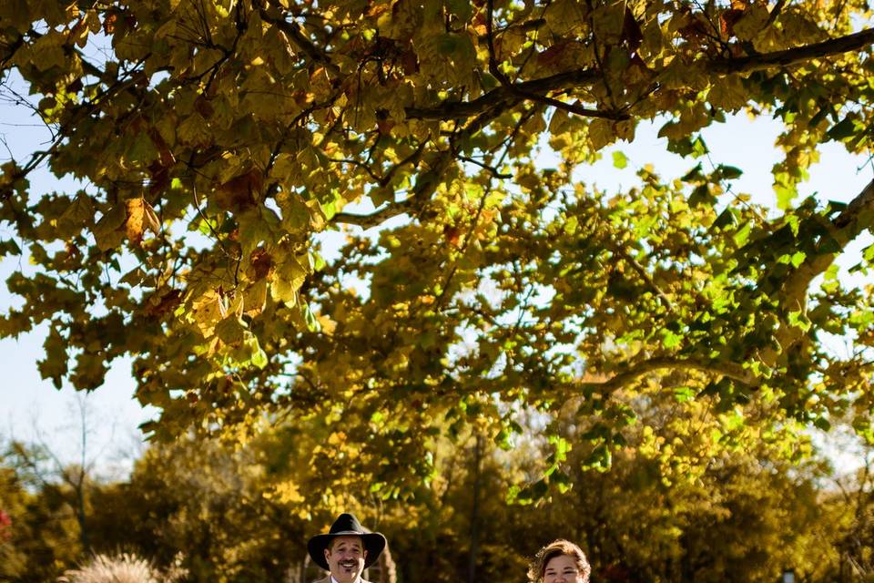Fall showing off