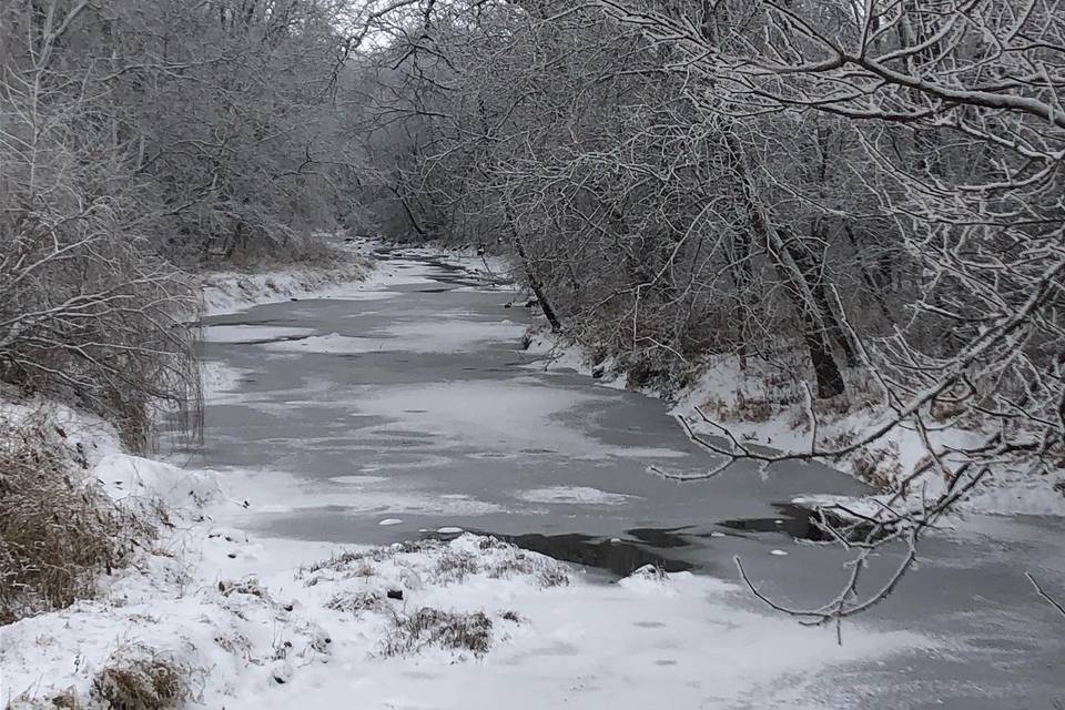Winter Creekview