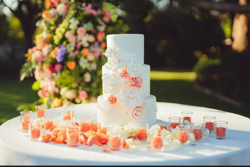 Coral and Turquoise Wedding