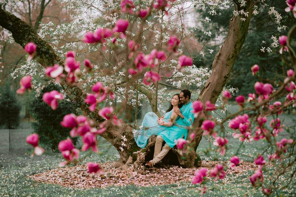 Multicultural Engagement Photo