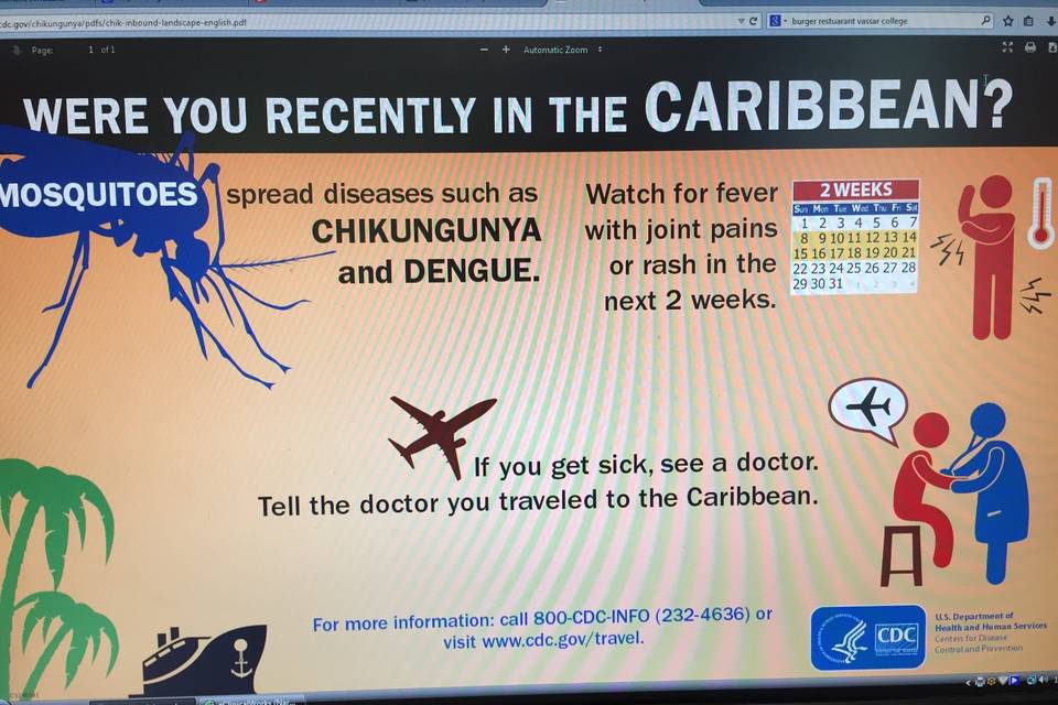 Airport poster - Chikungunya and Dengue awareness