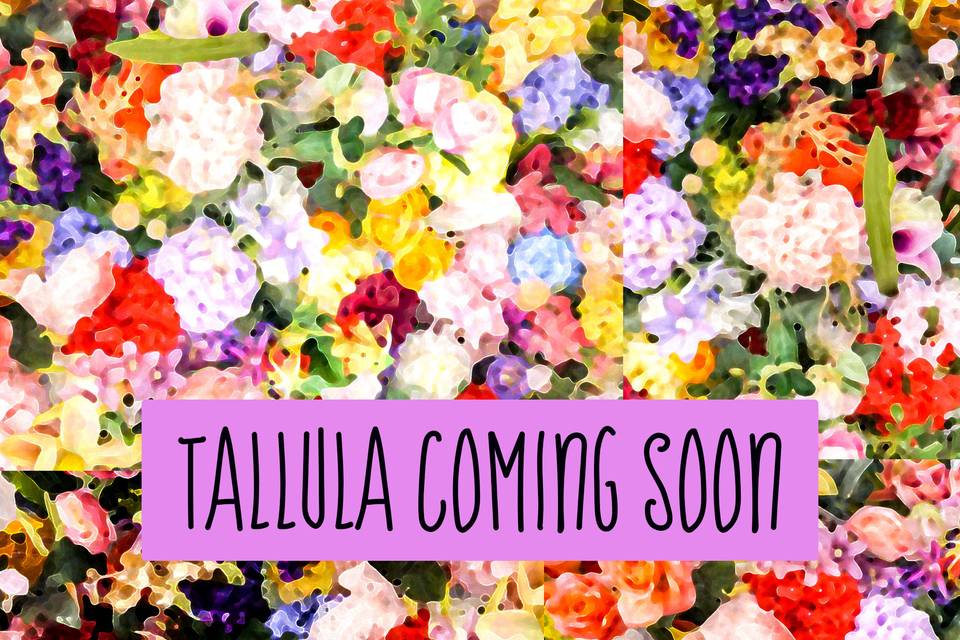 Tallula Available Fall 2023
