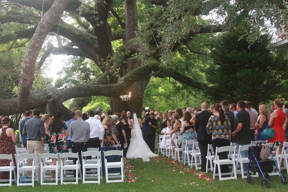 Wedding processional