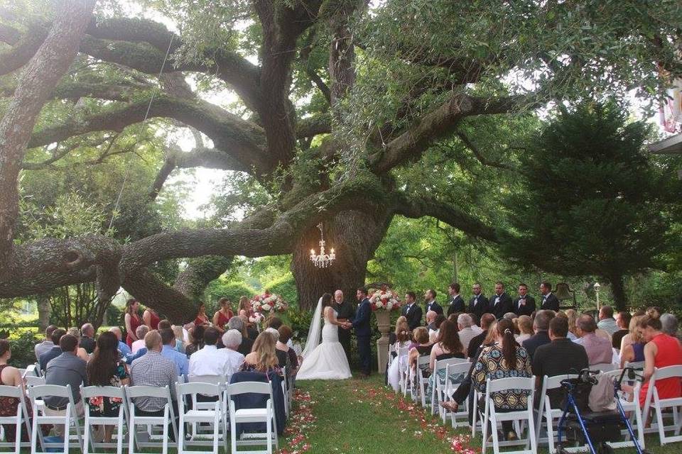 Wedding tree