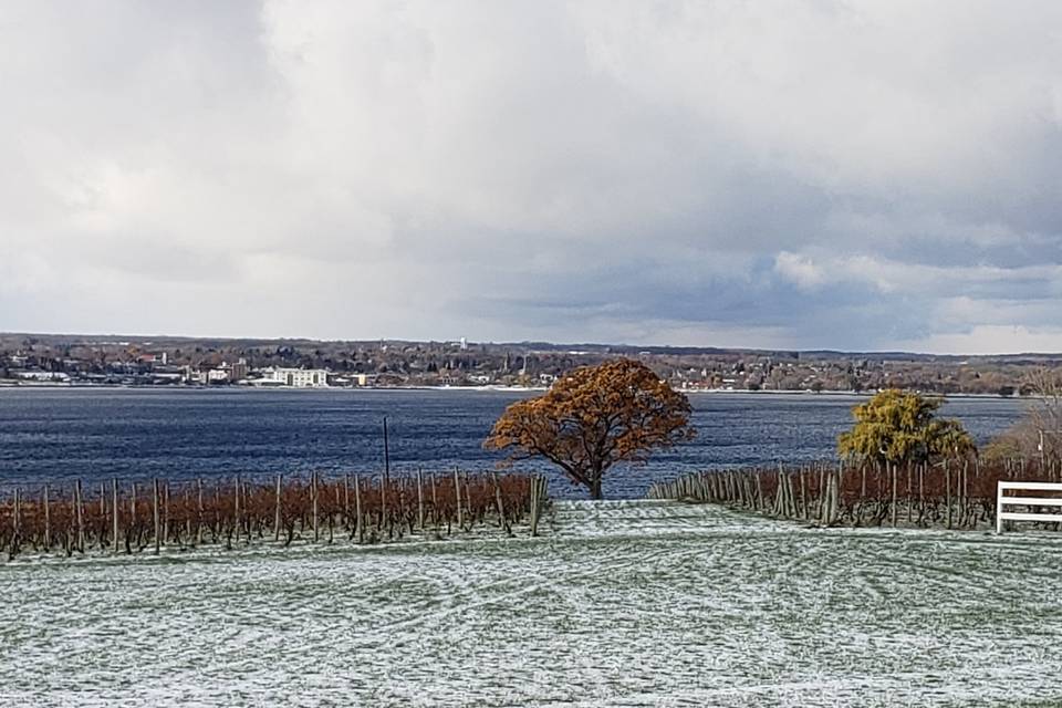 Beautiful Winter View