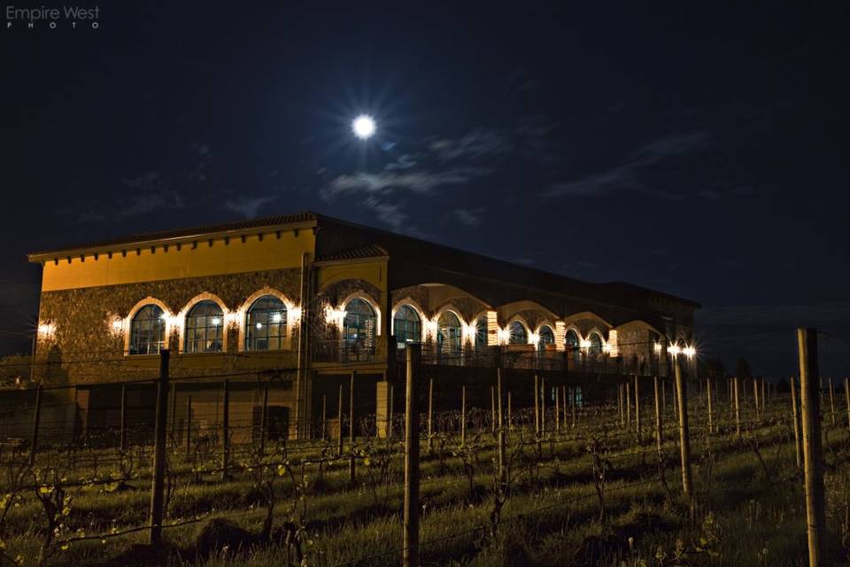The Vineyards at night