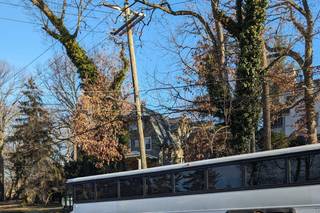 The Best Bus Company