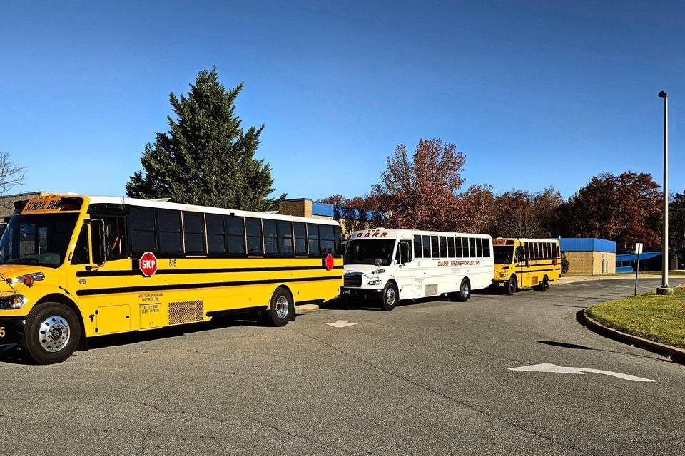 Our Bus Options