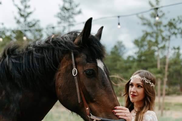 Bride's Portrait