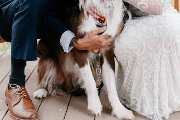 Newlyweds and their pup!