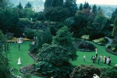 Outdoor wedding