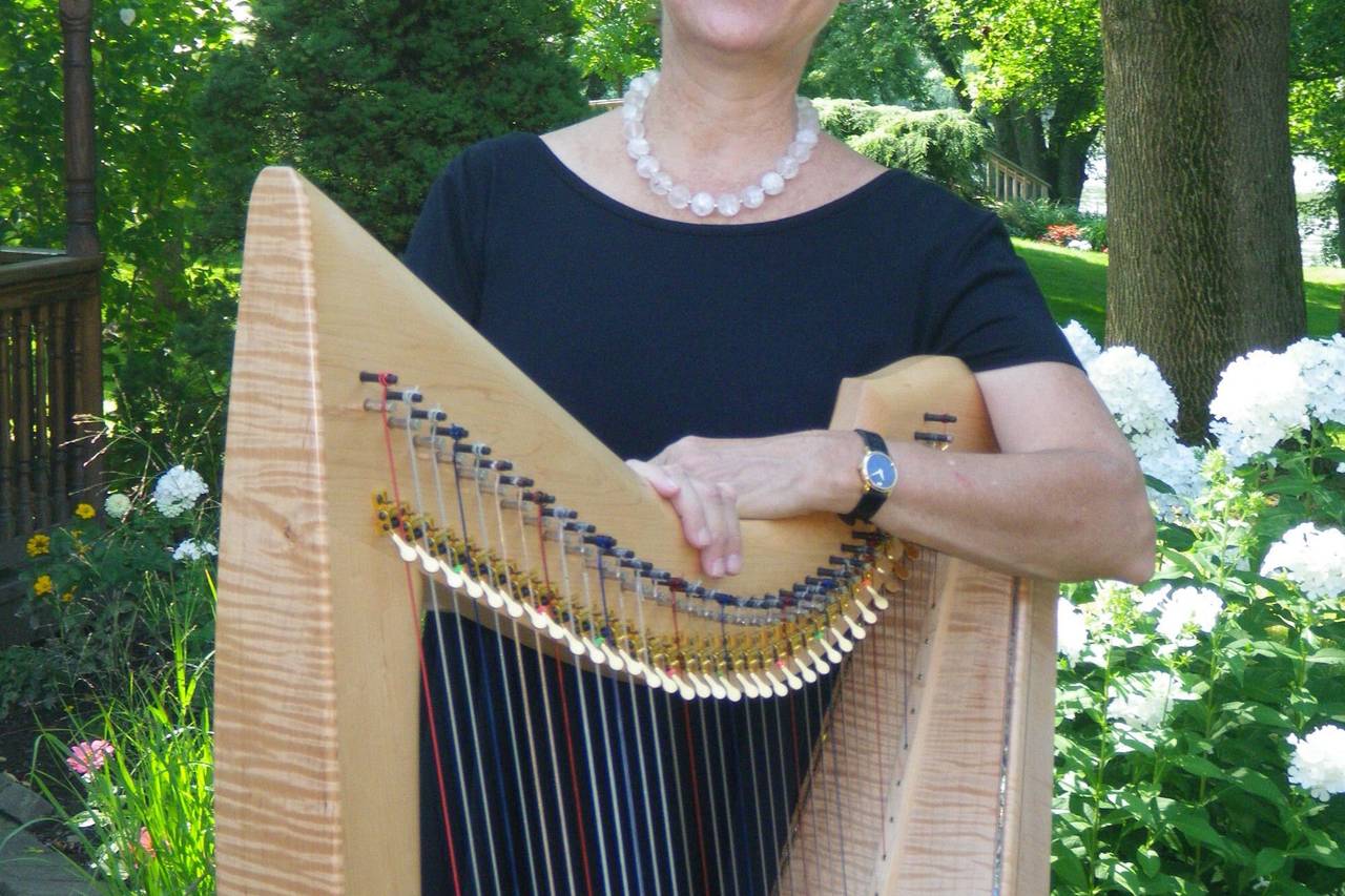 Meredith Kohn Bocek - The Harp Studio - Ceremony Music - Apalachin, NY -  WeddingWire