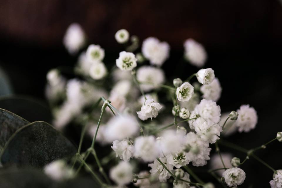 Baby's breath